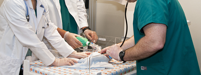 Three People Working on a Patient