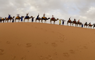 People Riding Camels on Sand