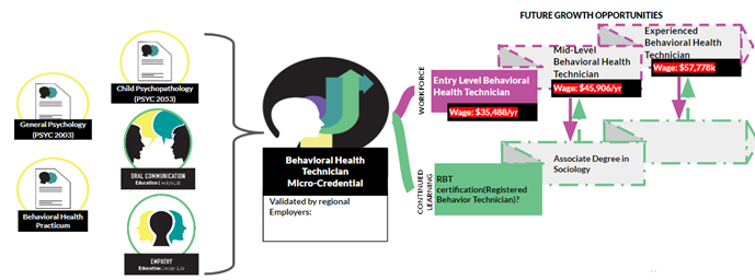Behavioral Health Technician Micro-pathway 