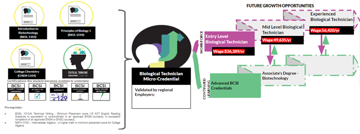 Biological Technician Micro-pathway 